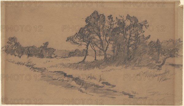 Trees in a Field, late 19th century.