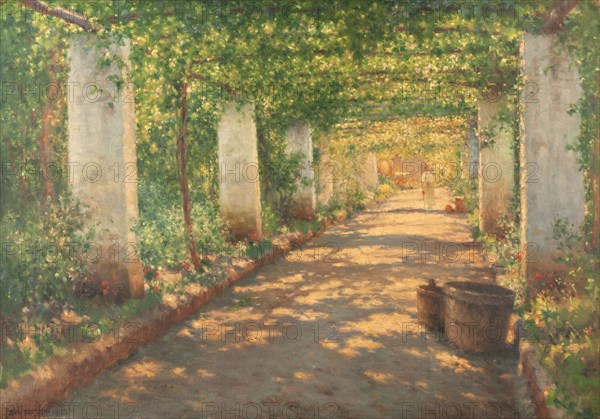 Pergola in Cocumella, Sorrento, 1922.