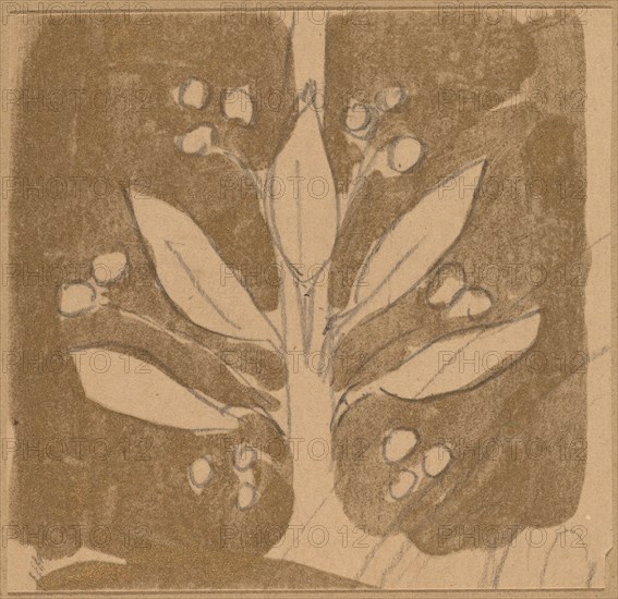 Study for a Border Design, 1890/1897.