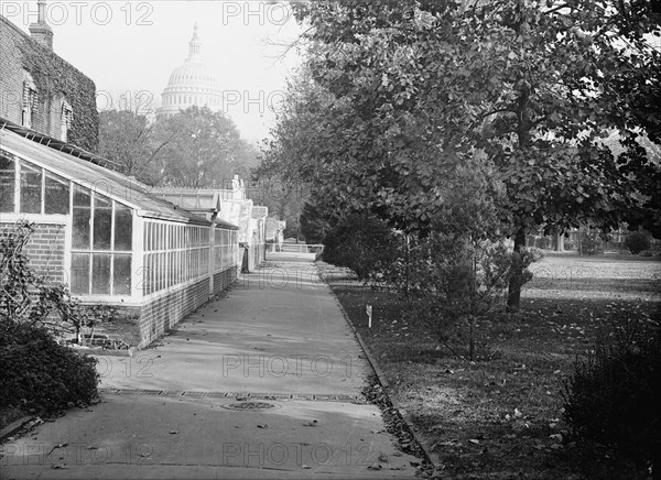 Botanical Gardens At The Capitol, 1917.