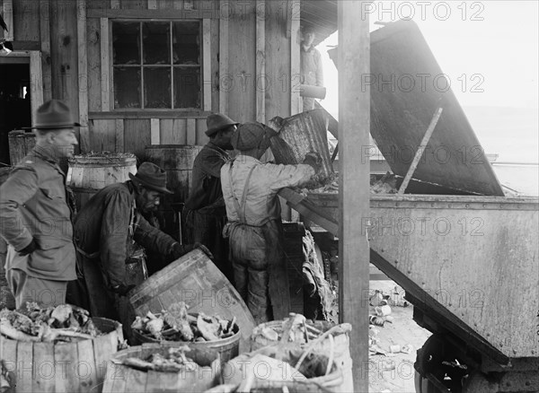 Camp Meade, Maryland - Misc, Views, 1917.