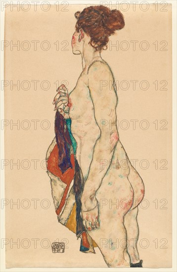 Standing Nude with a Patterned Robe, 1917.