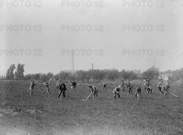 Boy Scouts Gardening In Potomac Park, 1917.