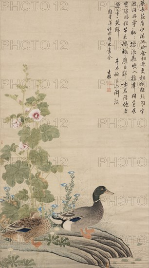 Ducks and hollyhocks, between 1912 and 1949.