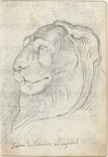Lion's Head from the Capitoline Staircase, 1752/1756.