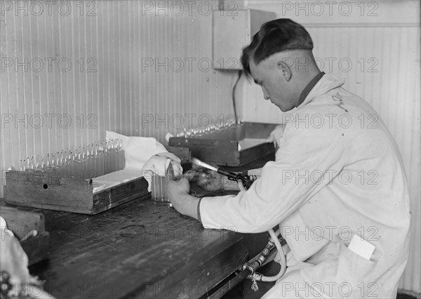 Army, U.S. Army Medical School; Typhoid Vaccine, 1917.