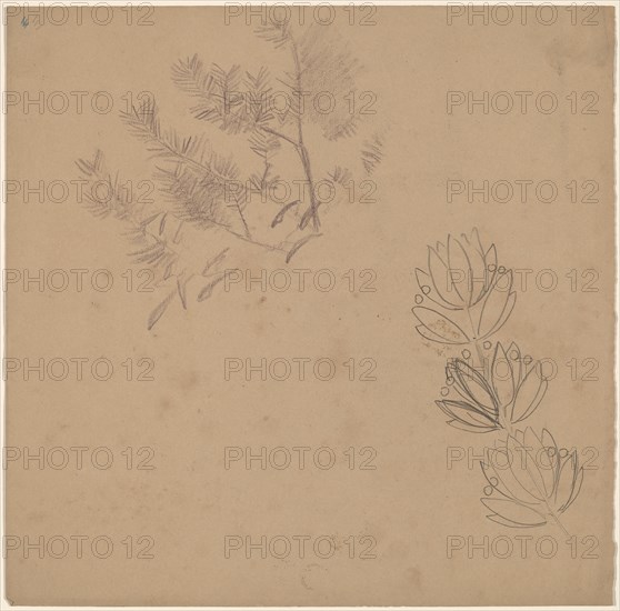 Study for a Border Design with a Sketch of a Tree, 1890/1897.