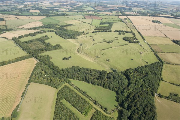 Lodge Park, deer course and hunting park, Gloucestershire, 2016.