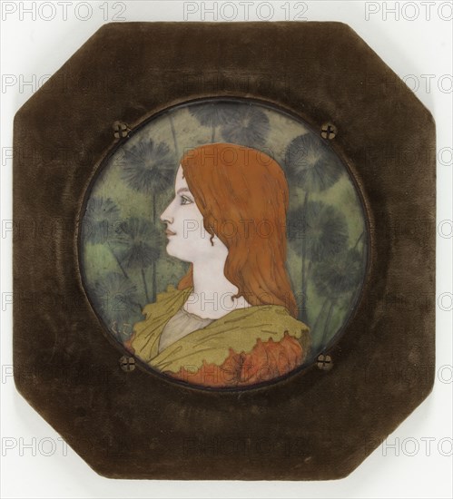 Young woman in profile, before 1895.  Creator: Etienne Tourrette.