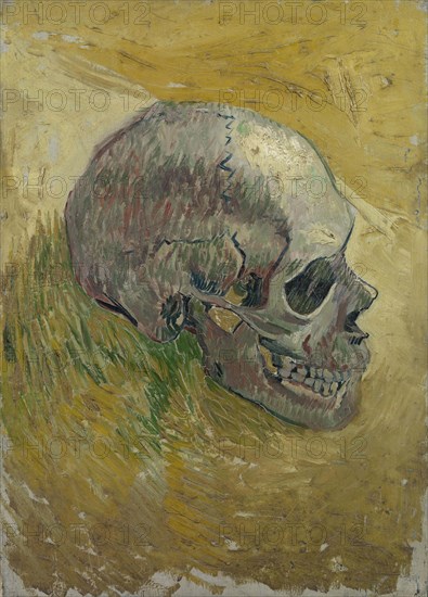 Skull, 1887. Found in the collection of the Van Gogh Museum, Amsterdam.