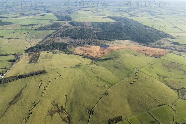 Ashen Hill barrow cemetery and Priddy Nine Barrows Cemetery, Somerset, 2016.