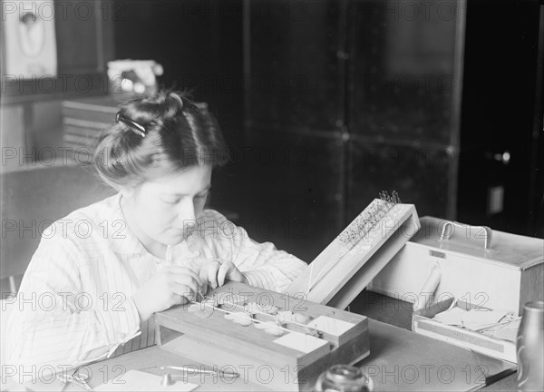 Mrs. J.C. Crawford of Smithsonian, 1914. Woman with pinned butterfly specimens.