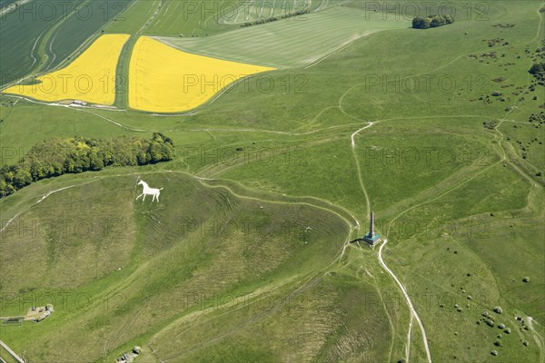 The Lansdowne Monument and Cherhill White Horse on Cherhill Down, Wiltshire, 2018.