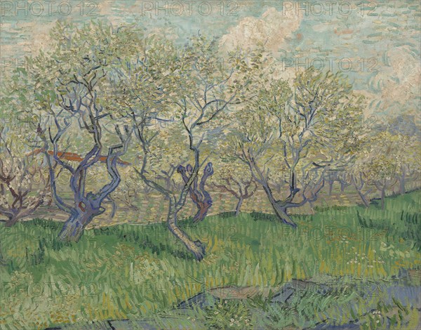 Orchard in Blossom, 1889. Found in the collection of the Van Gogh Museum, Amsterdam.