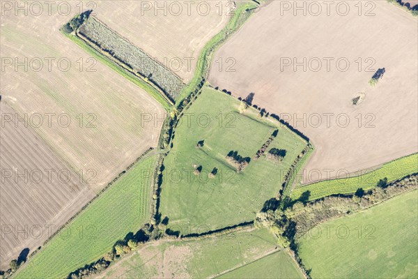 Site of St Andrews College and moat earthwork, Acaster Marshes, North Yorkshire, 2018.