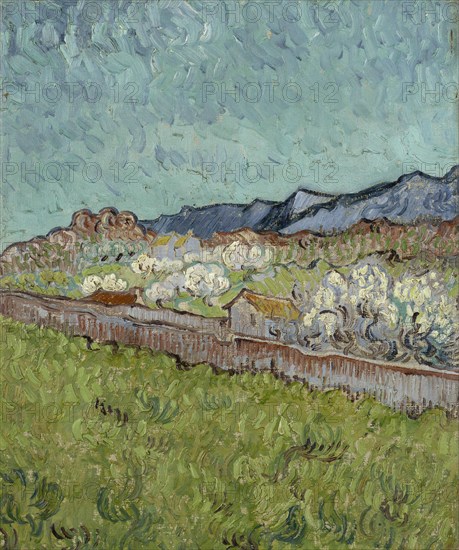 View of the Alpilles, 1890. Found in the collection of the Van Gogh Museum, Amsterdam.