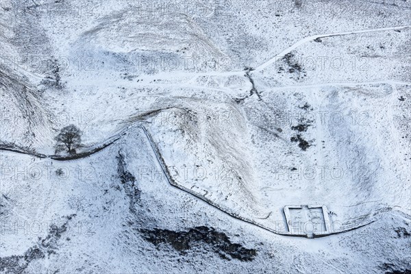 Milecastle 39 and Sycamore Gap Tree on Hadrian's Wall in the snow, Northumberland, 2018.