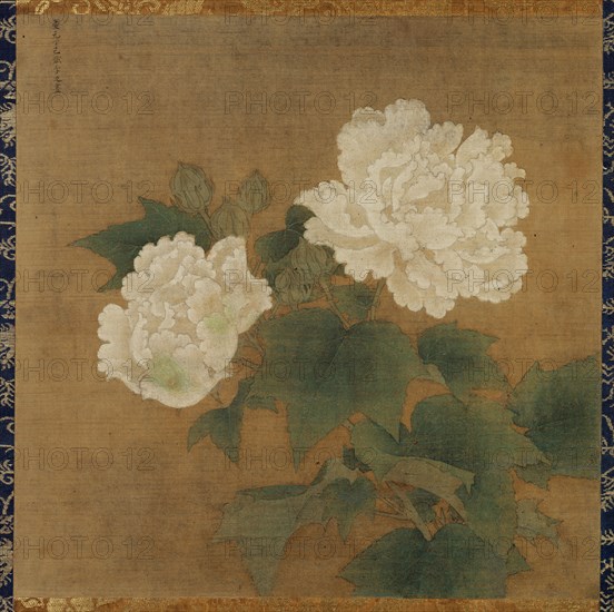 White hibiscuses (Set of two hanging scrolls), 1197. Creator: Li Di (active 12th century).