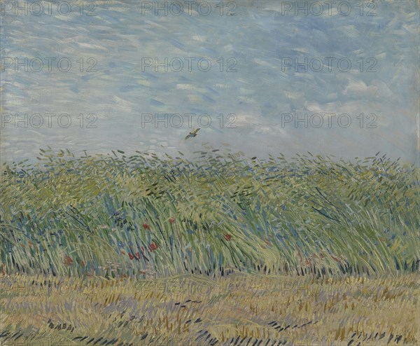 Wheatfield with Partridge, 1887. Found in the collection of the Van Gogh Museum, Amsterdam.