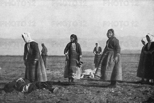 'Les premieres victimes des aeroplanes allemands, le 30 decembre : deux moutons..., 1915. Creator: Unknown.