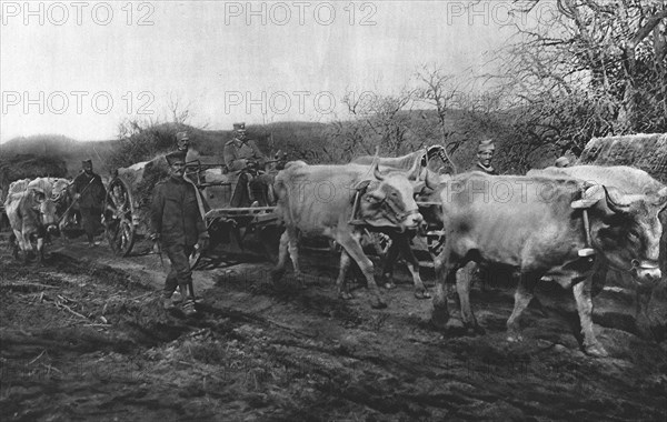 'La Tragedie Serbe; Pierre 1er Karageorgevitch quittante le territoirede la Vieille..., 1916. Creator: Vladimir Betzitch.