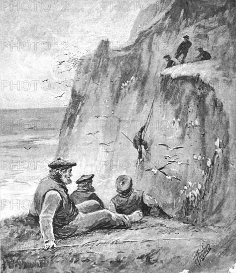 ''An Excursion to St Kilda; Cragsmen snaring birds with a rod', 1890. Creator: Unknown.