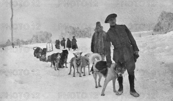 'Skieurs et chiens de guerre dans les neiges vosgiennes; Le lieutenant Haas, consul de..., 1916. Creator: Unknown.