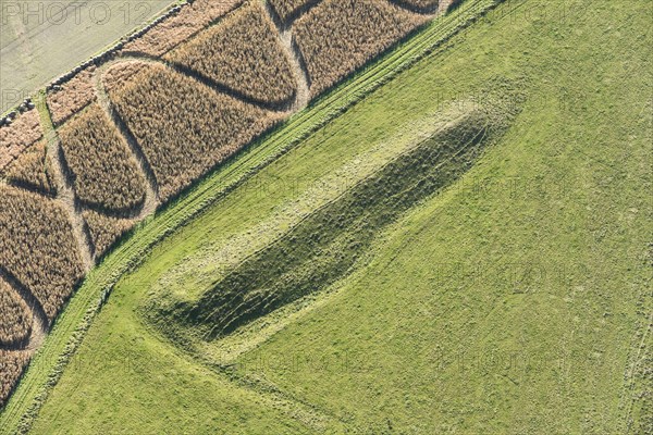 Giant's Grave Long Barrow on Fyfield Down, Wiltshire, 2017.