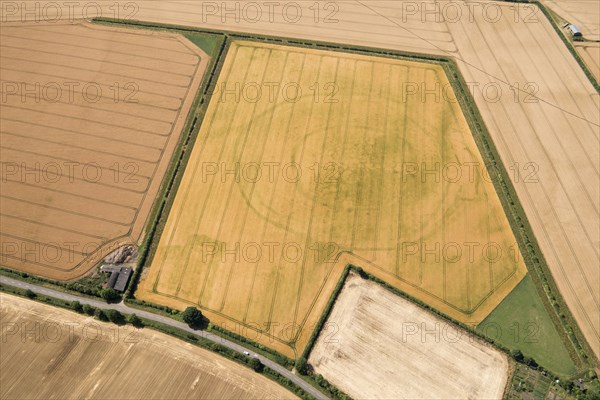 Cropmark remains of a large sub-circular enclosure thought to be a prehistoric defended enclosure, Oxfordshire, 2017.