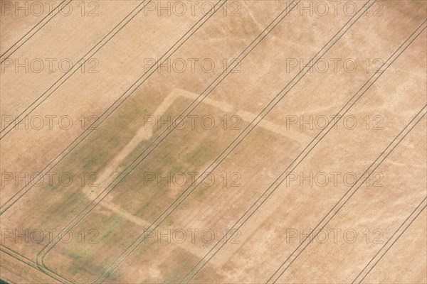 Rectilinear enclosure crop mark showing in the hot summer of 2018, near Linton, Cambridgeshire, 2018.