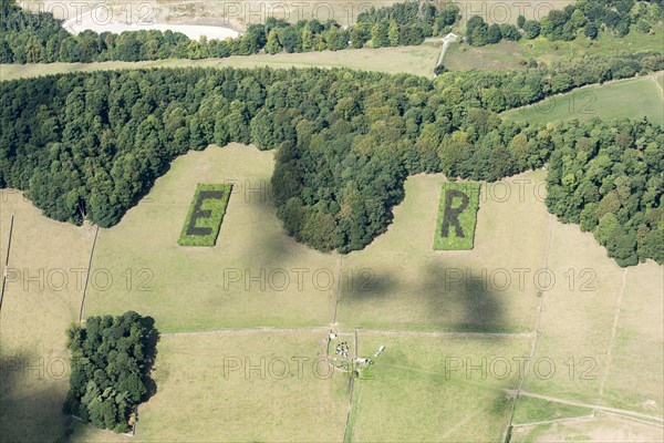 ER plantations, trees planted to mark the Golden Jubilee of Queen Elisabeth, Derbyshire, 2018.