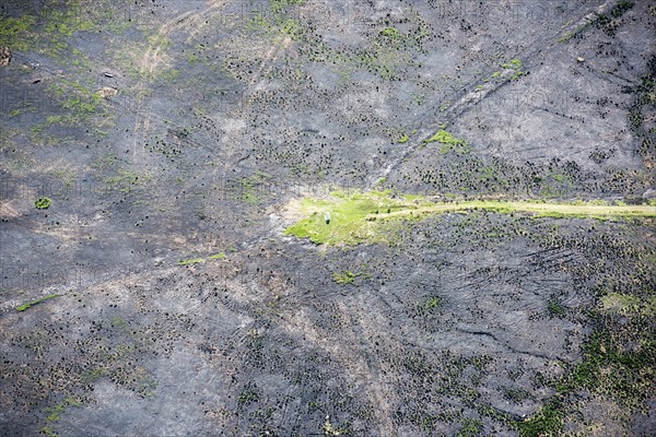 Wildfire damage surrounding Merryton Low bowl barrow and triangulation pillar, Staffordshire, 2018.