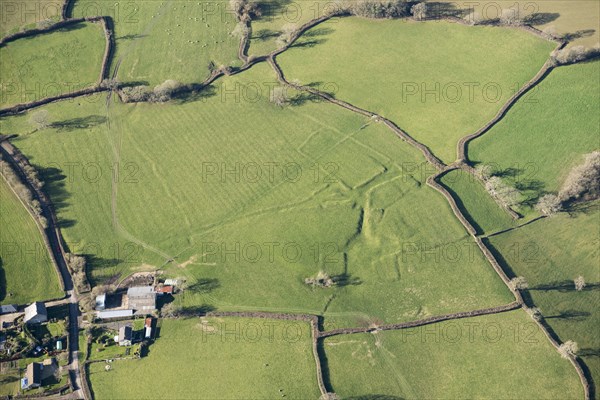 Earthworks of a possible Medieval settlement or farmstead, Dorset, 2019.