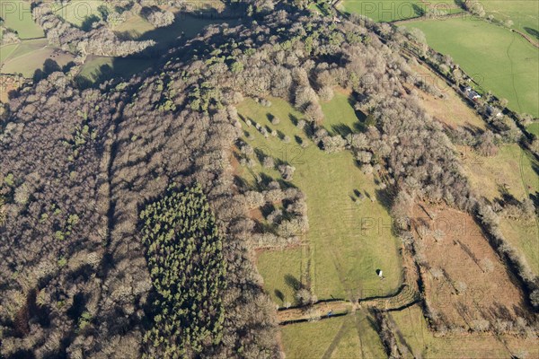 Lambert's Castle, an Iron Age hillfort with a bowl barrow, Dorset, 2019. Creator: Damian Grady.