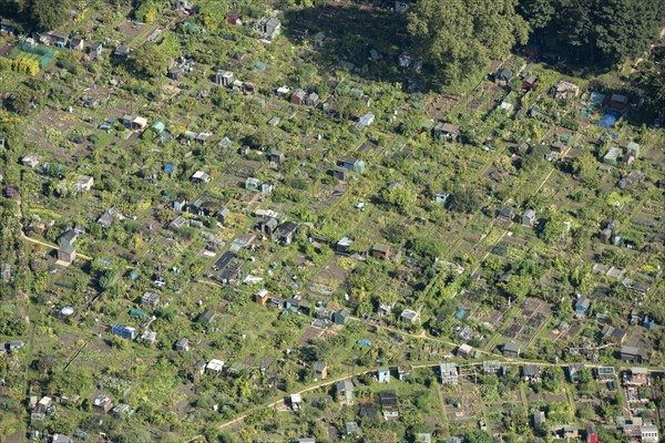 Allotments at Fulham Palace, Greater London Authority, 2021.