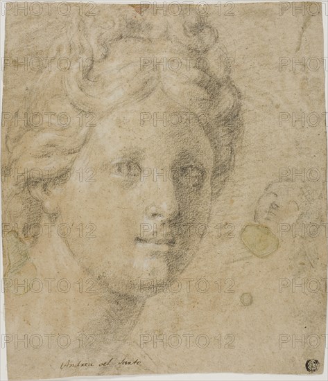 Head of a Woman, n.d.