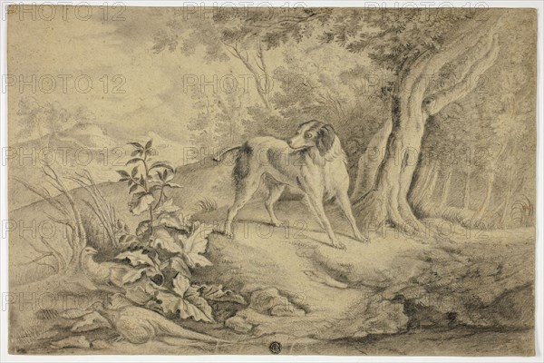 Hunting Dog in Woods, n.d. Attributed to James Barenger the younger.