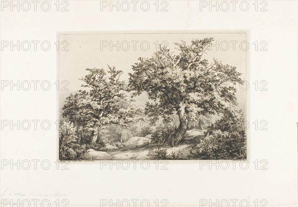 The Two Oaks, Fontainebleau, 1842.