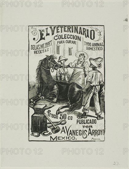 The Veterinarian, n.d.