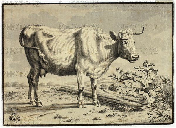 Cow, n.d. Possibly after Karel Dujardin.