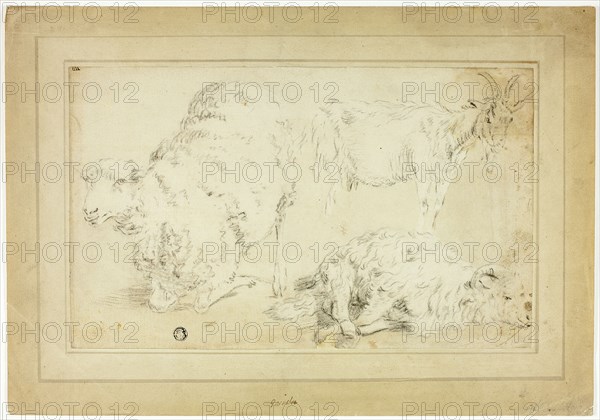 Sketches of Sheep and Goat, 18th century.