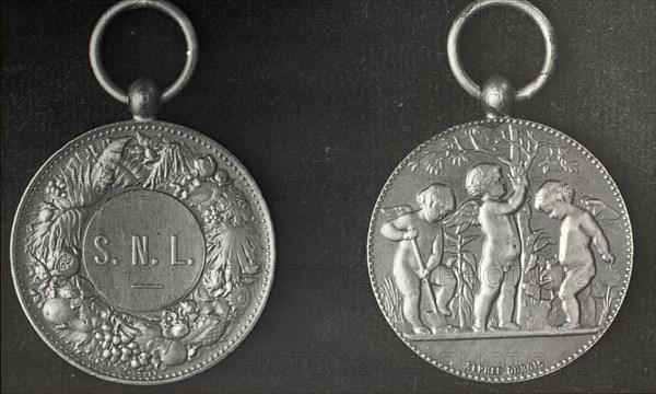 New York City - Medal of the School Nature League , 1921. Creator: Frances Benjamin Johnston.