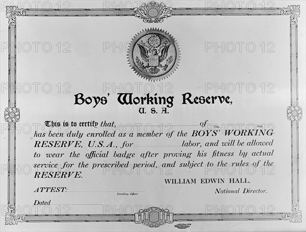 Boys Working Reserve, U.S.A. Certificate, 1917. Creator: Harris & Ewing.