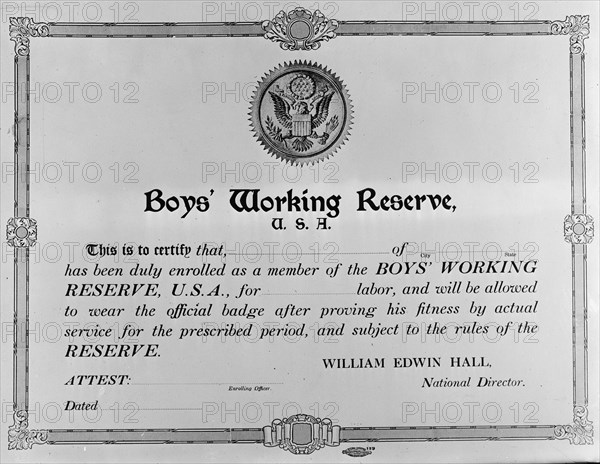 Boys Working Reserve, U.S.A. Certificate, 1917. Creator: Harris & Ewing.