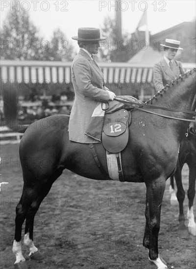 Horse Shows - Mrs. Aileen Potts, 1917.