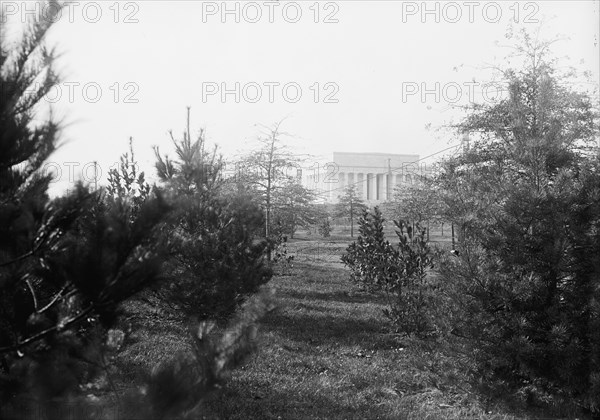 Lincoln Memorial Through Foliage of Potomac Park, 1917.