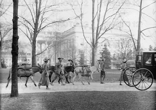 Los Angeles Hikers Who Brought White Plague Cure To President Wilson, at White House, 1914.