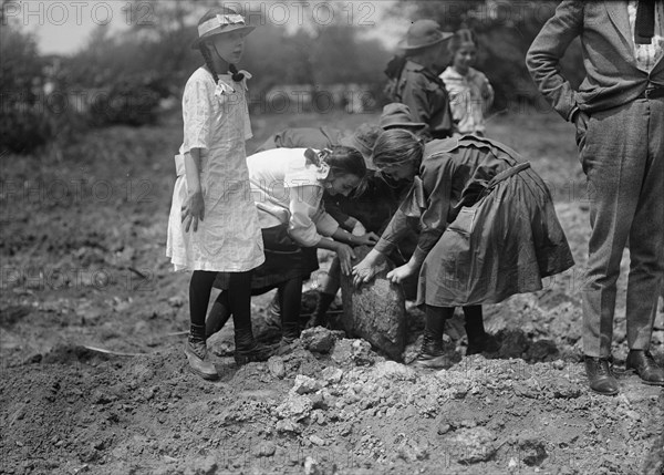 National Emergency War Gardens Com. - Girl Scouts Gardening at D.A.R., 1917.