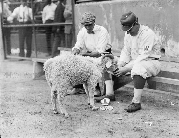 William "Germany" Schaefer, Washington Al (Baseball), 1912.