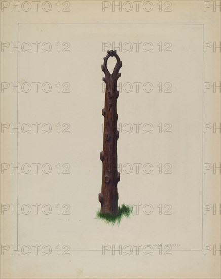 Tree Trunk Hitching Post, c. 1937.